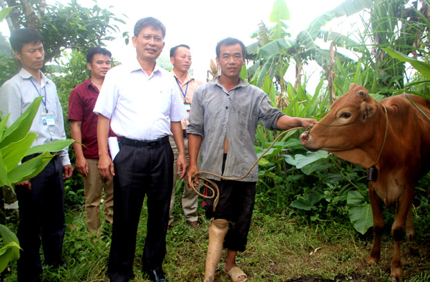 Phó Giám đốc Sở Y tế trao bò giống cho gia đình anh Thào Mìn Hoa, hộ nghèo của thôn Lò Suối Tủng, xã Tả Ván (Quản Bạ).