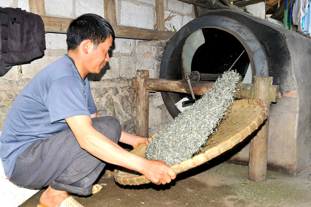 Công đoạn sao chè được anh Giàng Mí Chứ, thôn Cán Pẩy Hở B, làm hết sức cẩn thận để có chất lượng chè đảm bảo.        