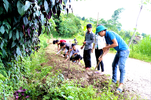 Đoàn viên xã Cốc Rế thực hiện Mô hình “Bờ hoa ruộng mật”, trồng hoa 2 bên đường vào các khu dân cư thôn Nắm Ngà.