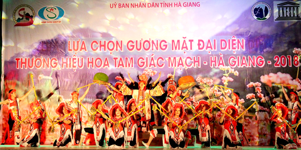 Tiết mục biểu diễn do đoàn Nghệ thuật tỉnh Điện Biên thể hiện.