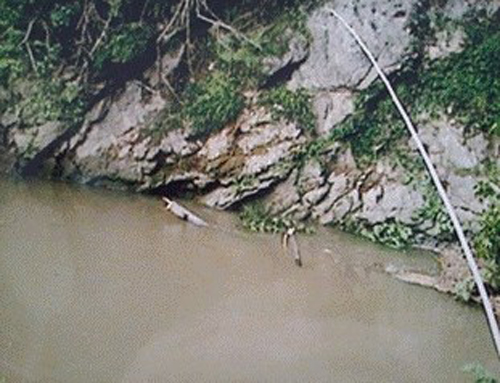Hang Rù Dặp, xã Cao Chương (Trà Lĩnh).