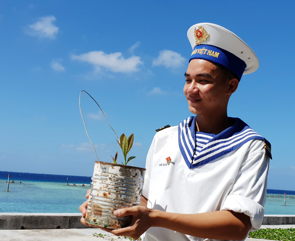 Hạt Bàng Vuông được ươm đã nảy mầm để tham gia Tết Trồng cây