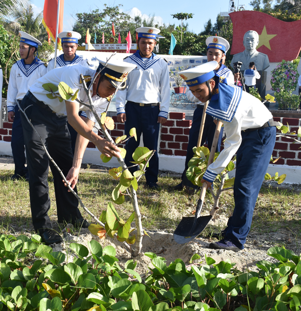 Cùng với Bàng vuông, cây Tra - một loại cây bóng mát đồng thời là nguồn rau xanh  cũng được trồng phổ biến trên đảo