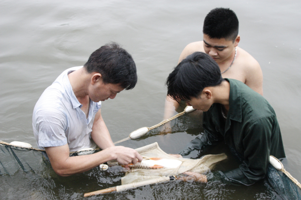 Cán bộ Trung tâm Thủy sản Hà Giang nghiên cứu nhân giống, bảo tồn loài cá Chày đất.