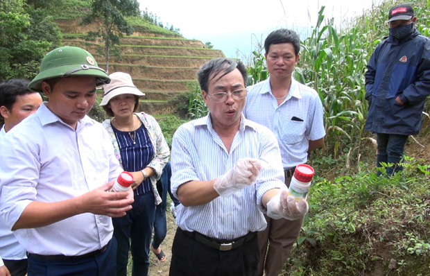 Cán bộ Chi cục Bảo vệ thực vật hướng dẫn pha chế và phun thuốc diệt sâu.