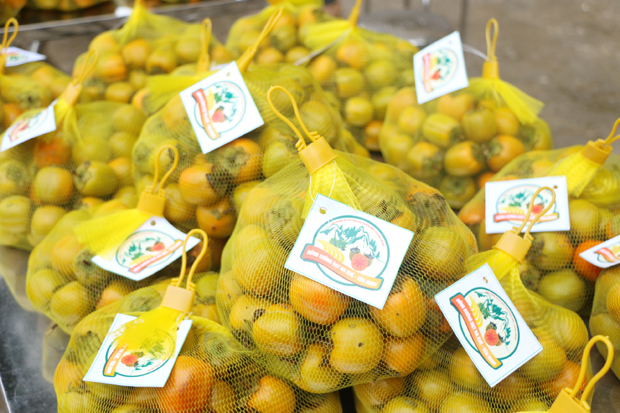 Hồng Không hạt Na Khê (Yên Minh) là một trong những sản phẩm được lựa chọn thực hiện chương trình OCOP năm 2019.