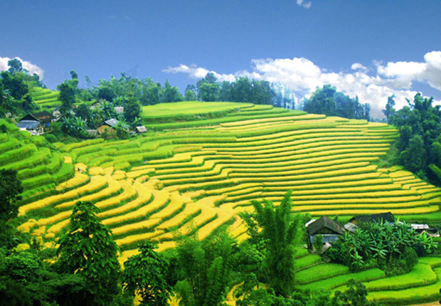 Vẻ đẹp ruộng bậc thang xã Thèn Phàng.                                                                                                 Ảnh: TL