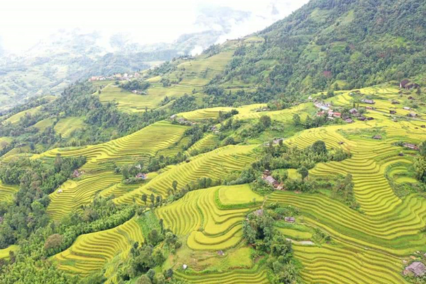 Ruộng bậc thang xã Tả Sử Choóng.