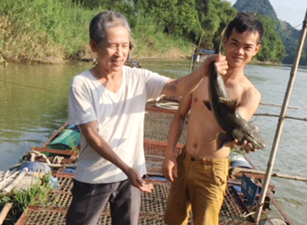 Khách hàng mua cá Chiên tại HTX cá lồng Vĩnh Tuy.