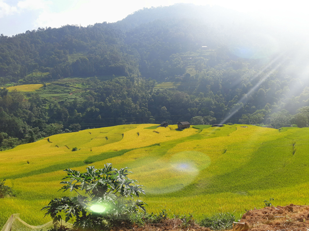 Vẻ đẹp của những thửa ruộng bậc thang ở thôn Thống Nhất, xã Nấm Dẩn.