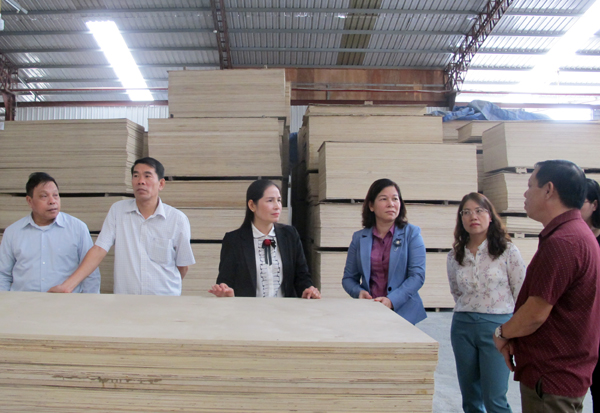 Phó Chủ tịch Thường trực HĐND tỉnh Chúng Thị Chiên khảo sát tại cụm công nghiệp Nam Quang thuộc xã Vĩnh Tuy (Bắc Quang)