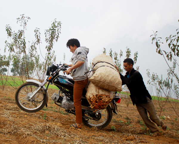 Đường vận chuyển không ít gian nan