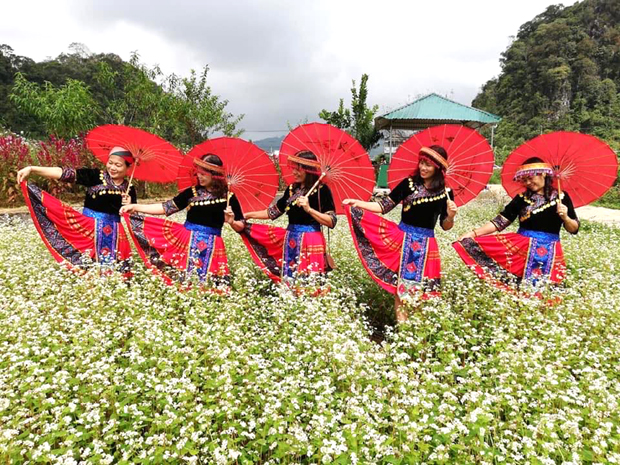 Du khách hòa mình cùng hoa Tam giác mạch.