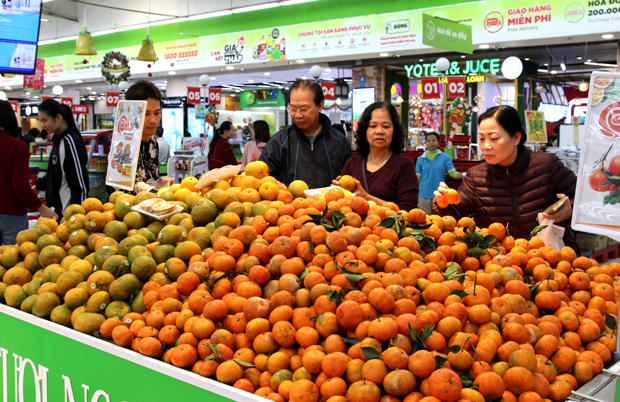 Đặc sản cam Hà Giang được bày bán trong Big C Thăng Long.