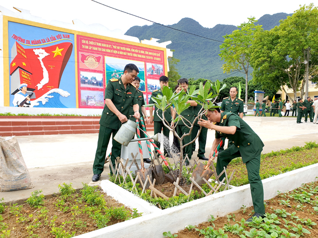 Cây Bàng vuông từ Trường Sa được trồng tại Trung đoàn 877.        Ảnh: PHƯƠNG HOA