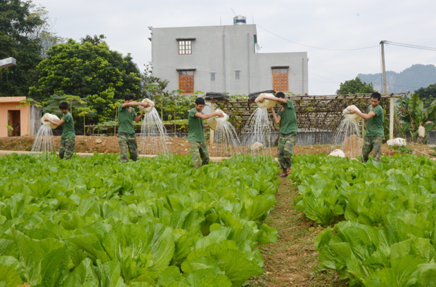 Giờ tăng gia của các chiến sỹ.                                    Ảnh: CTV