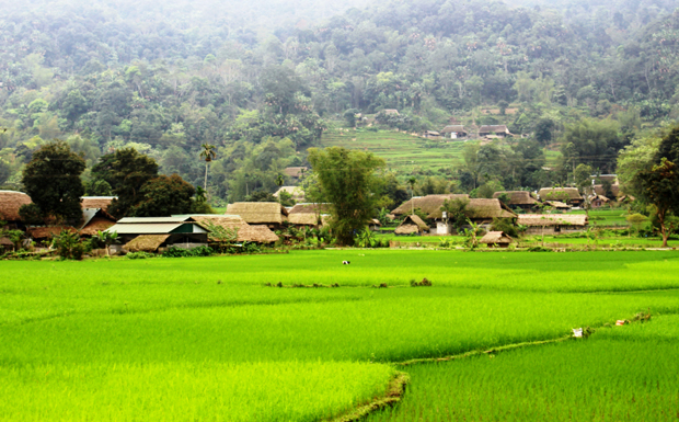 Bình yên thôn Tha.