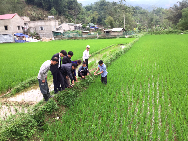 Lãnh đạo xã kiểm tra mô hình xen canh cá – lúa của người dân.  (Ảnh chụp tháng 2.2020).