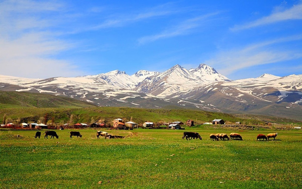Khung cảnh bình yên chung quanh núi Aragats. 