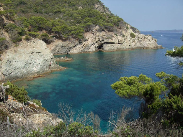 Vườn quốc gia Port-Cros.