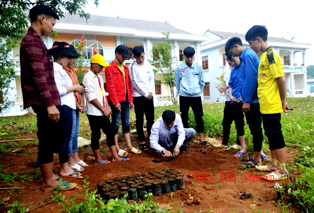 Thanh niên học nghề lâm sinh tại Trung tâm Giáo dục Nghề nghiệp – Giáo dục Thường xuyên Mèo Vạc.
