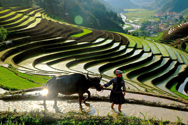 Vẻ đẹp lao động của con người nơi đây trước thiên nhiên hùng vĩ.