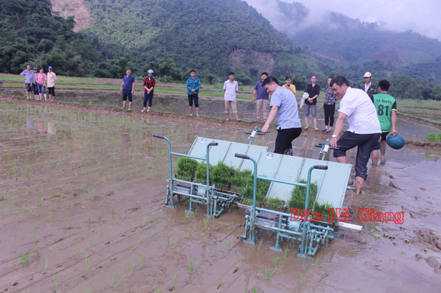 Lãnh đạo huyện Bắc Mê thử nghiệm máy cấy mini tại xã Minh Ngọc.