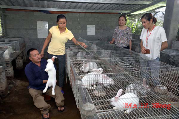 Vợ chồng khuyết tật Vương Xuân Trường, dân tộc Nùng, ở thôn Bó Lách, xã Quyết Tiến. Anh Trường bị xương thủy tinh, vợ bị rối loạn đông máu, nhưng cùng nhau vượt lên khó khăn, nuôi thỏ mỗi năm lãi 60 triệu đồng. 