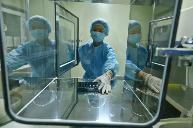 Ảnh minh họa (Nguồn: TTXVN)