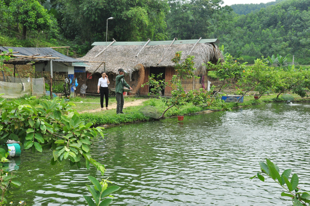 Trang trại tổng hợp của anh Lê Văn Bẩy.