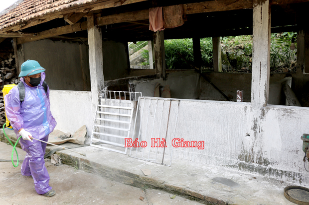 Cán bộ thú y phun thuốc khử trùng khu chuồng nuôi của hộ anh Lù Xuân Thắng, thôn Đông Tinh, xã Quyết Tiến (Quản Bạ).