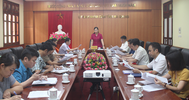 Phó Chủ tịch UBND tỉnh Hà Thị Minh Hạnh, Trưởng Tiểu ban phát biểu tại cuộc họp.