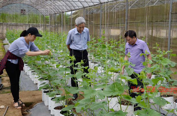 Lãnh đạo Sở Khoa học và Công nghệ kiểm tra mô hình thực nghiệm giải pháp nông nghiệp thông minh tại xã Quyết Tiến (Quản Bạ).