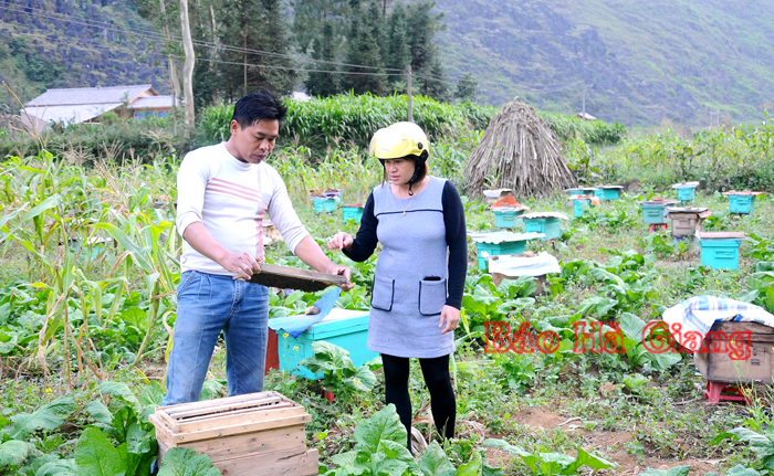 Mô hình nuôi ong của người dân xã Pả Vi (Mèo Vạc) mang lại thu nhập cao. 	       Ảnh: ĐẶNG KIM