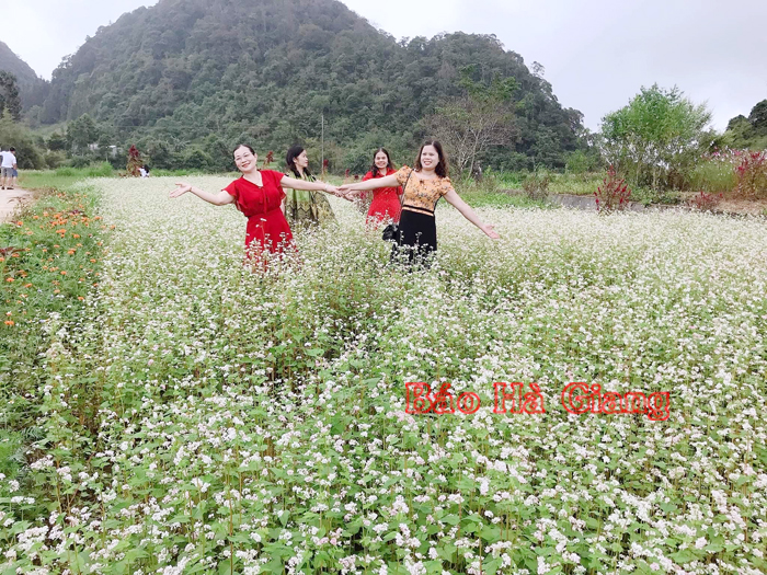 Khách du lịch trong vườn hoa Tam giác mạch.