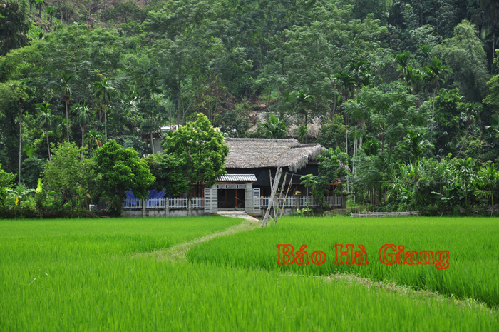 Bình yên làng quê Liên Hiệp.