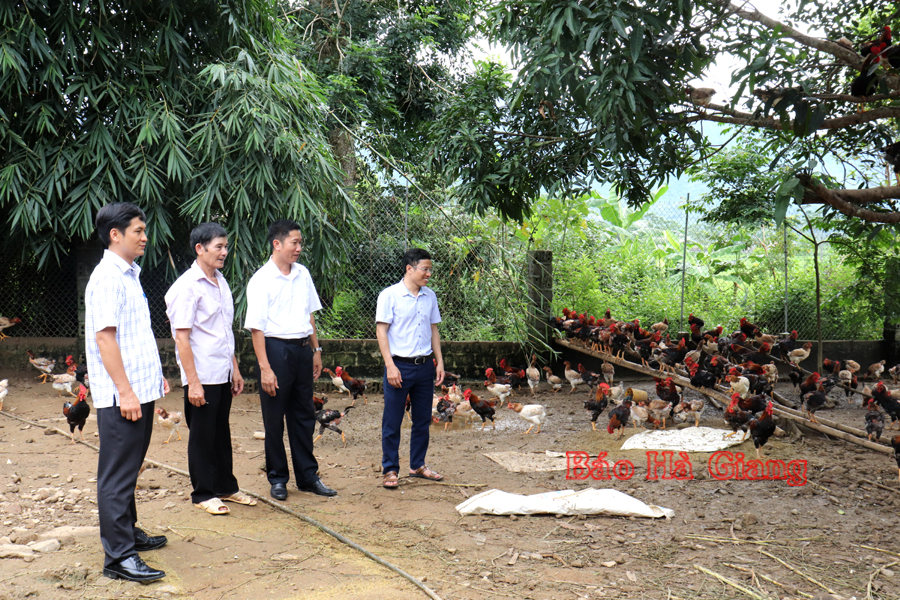 Mô hình nuôi gà quy mô hàng hóa của ông Mương Xuân Chính (thứ 2 bên trái) thôn Bản Đén mang lại hiểu quả kinh tế cao.