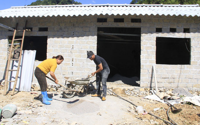 Nhờ vốn vay Ngân hàng CSXH, chị Vù Thị Hoa, thôn Thượng Sơn, thị trấn Tam Sơn đầu tư phát triển chăn nuôi, vươn lên thoát nghèo và xây được nhà kiên cố.           