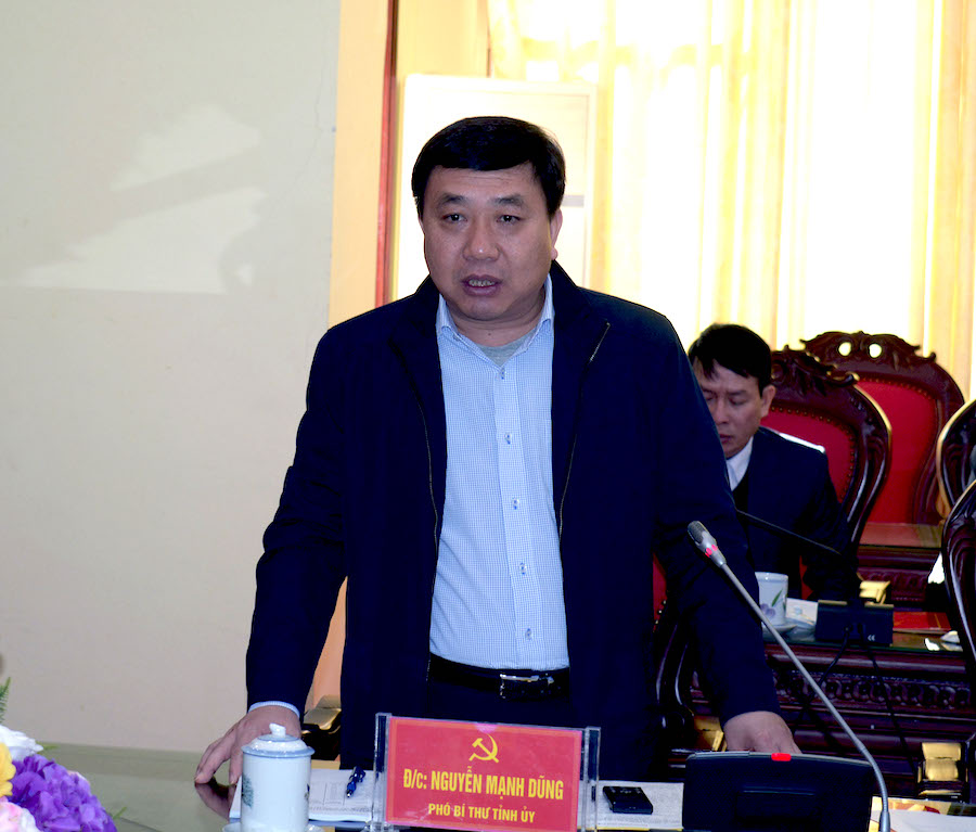 Phó Bí thư Tỉnh ủy Nguyễn Mạnh Dũng phát biểu tại hội nghị.