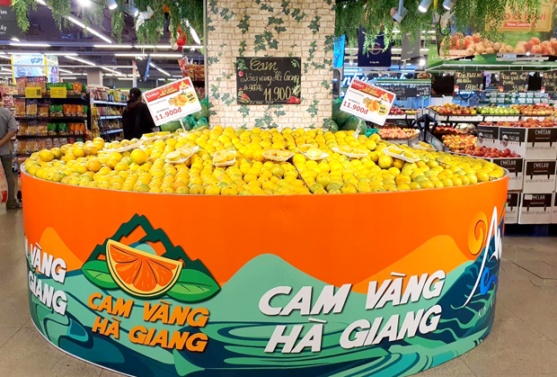 Cam vàng Hà Giang bày bán tại siêu thị lớn ở Hà Nội.	
