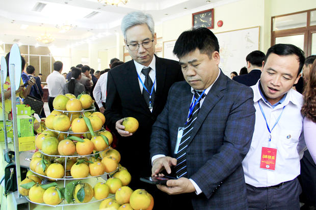 Sử dụng điện thoại thông minh truy xuất nguồn gốc sản phẩm cam.