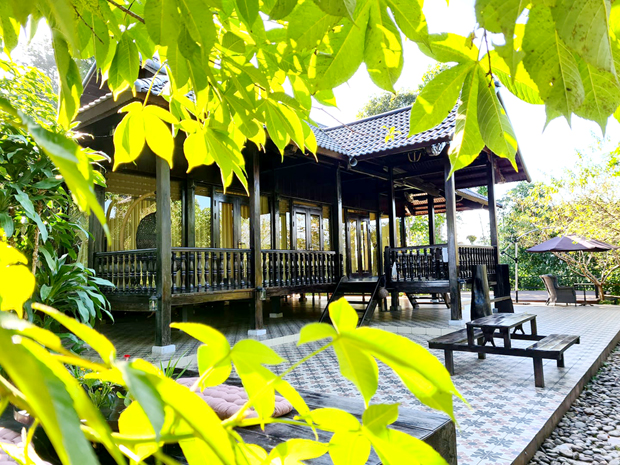 Kiến trúc hòa hợp thiên nhiên.