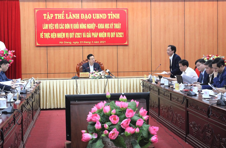 Giám đốc Sở NN&PTNT Hoàng Hải Lý báo cáo tình hình thực hiện nhiệm vụ các đơn vị trong quý I