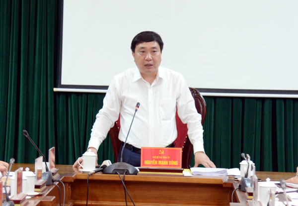 Phó Bí thư Tỉnh ủy Nguyễn Mạnh Dũng kết luận buổi làm việc