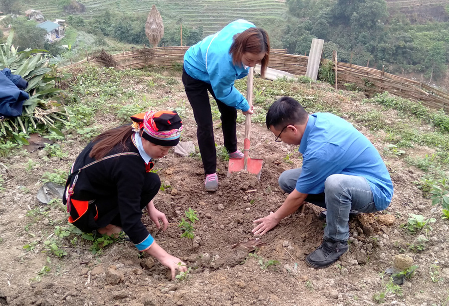 Đoàn viên, thanh niên Báo Hà Giang và xã Thanh Thủy (Vị Xuyên) giúp người dân cải tạo vườn tạp.