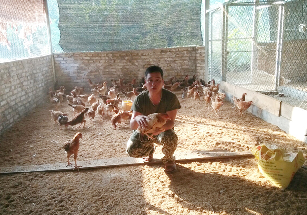 Bằng nguồn vốn vay Agribank, anh Vương Văn Việt, xã Yên Định đầu tư nuôi gà thương phẩm.