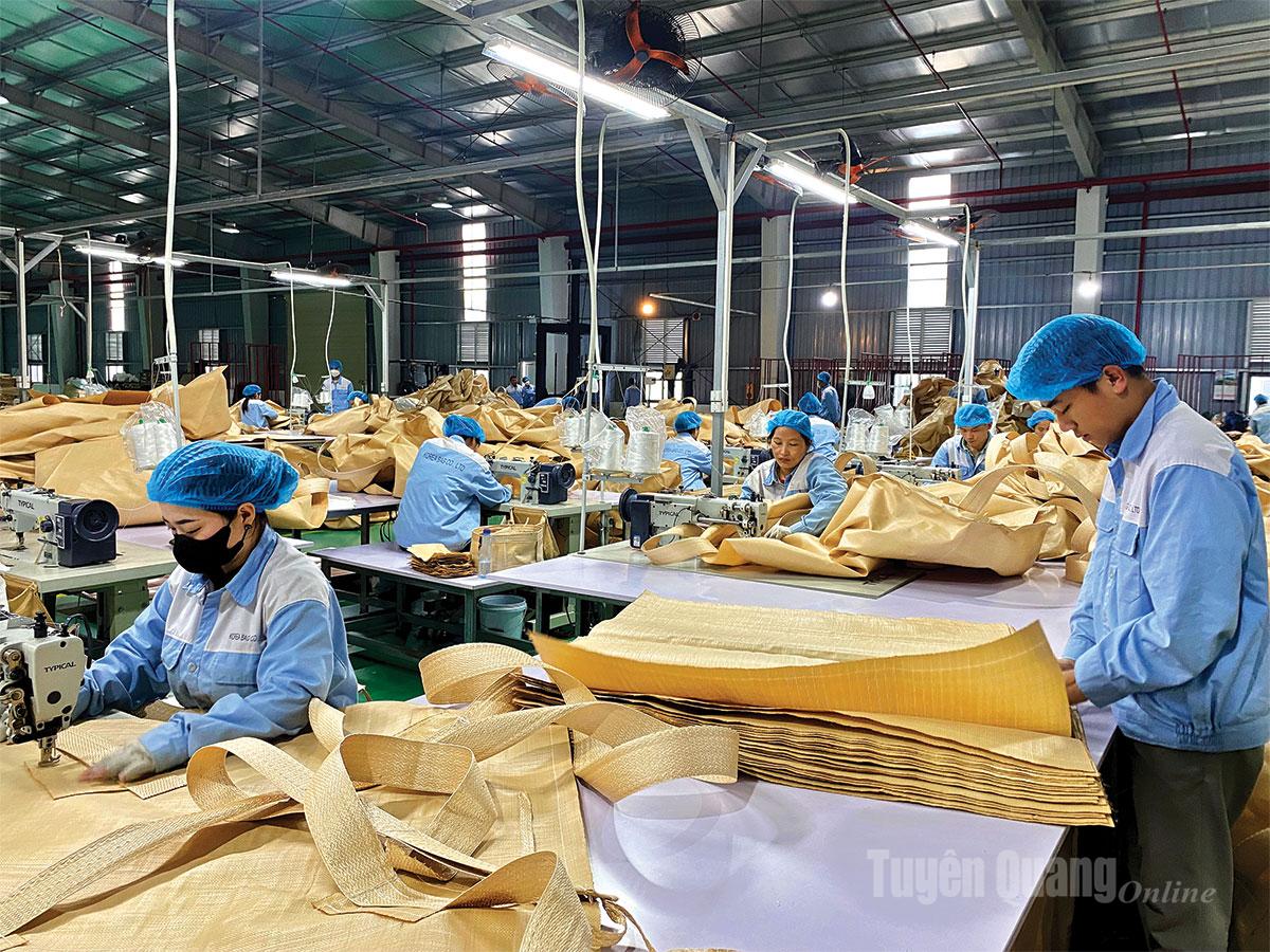 Sản xuất bao bì xuất khẩu tại Công ty HITARP Việt Nam, Cụm công nghiệp Phúc Ứng, xã Sơn Dương.