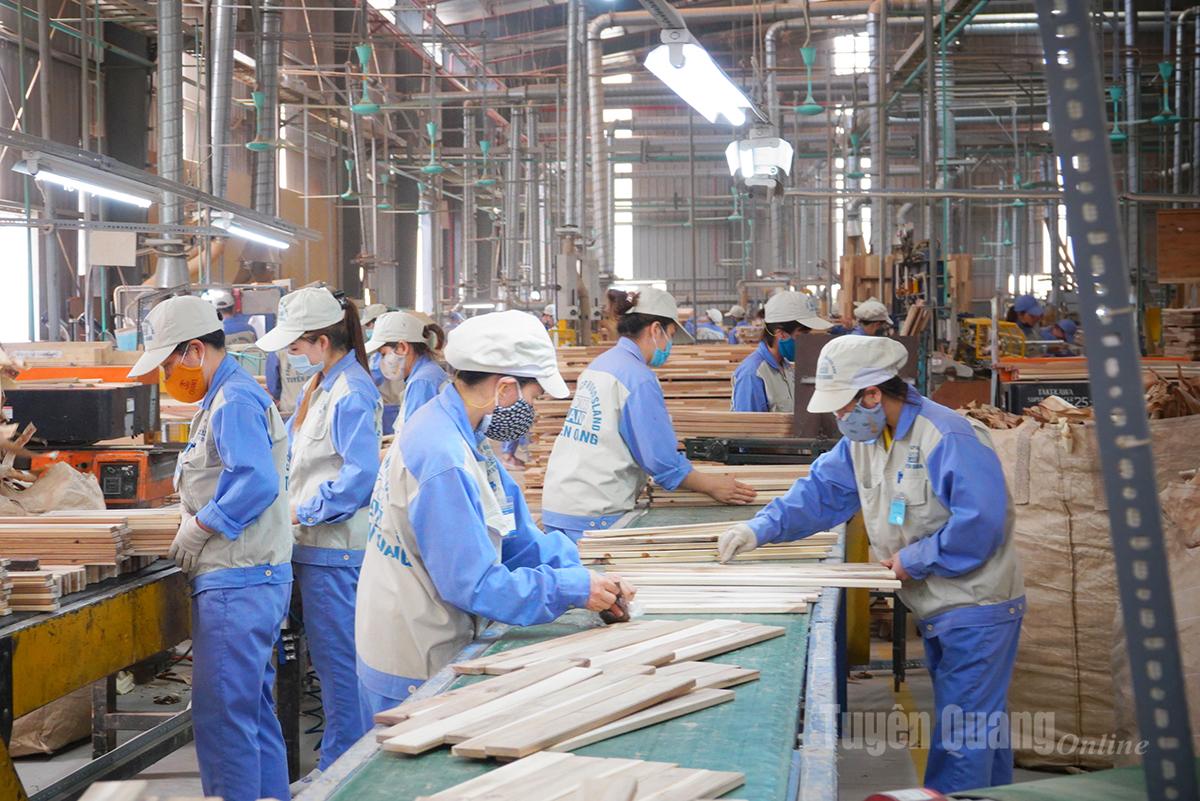 Workers at the factory of Woodsland Tuyen Quang Joint Stock Company.