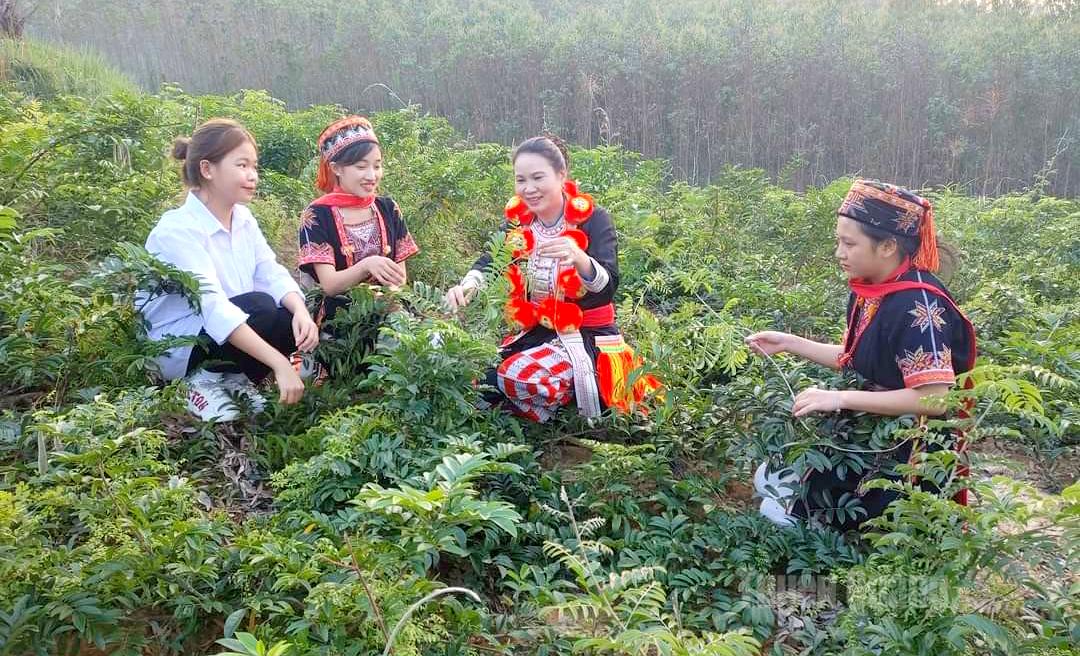 Công ty TNHH 
Tuệ Tâm phát triển sản phẩm dược liệu đáp ứng nhu cầu chăm sóc sức khỏe người dân.