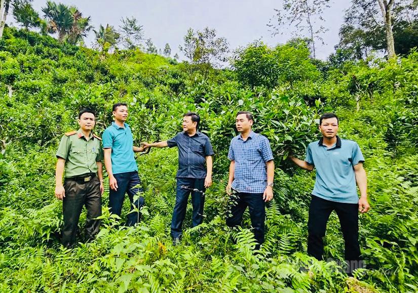 Lãnh đạo xã Ngọc Đường thăm, kiểm tra 
mô hình 
phát triển
 kinh tế của 
hộ dân.